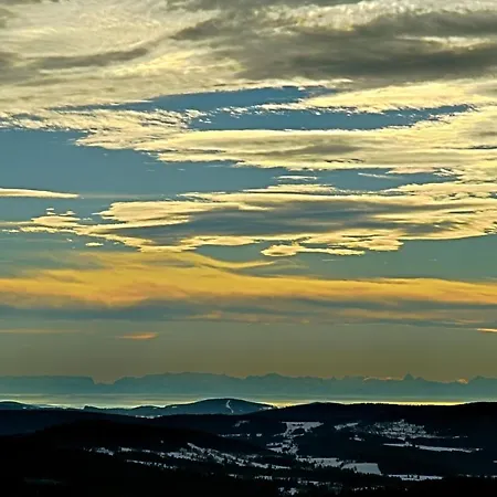 Pod Pralesem Guest house *